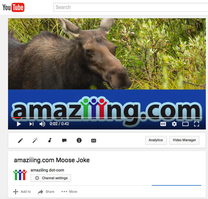 amaziiing.com Moose Joke